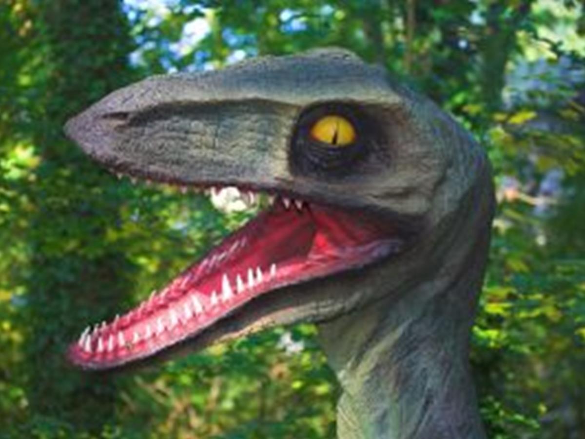 Prehistoric-Park-forest